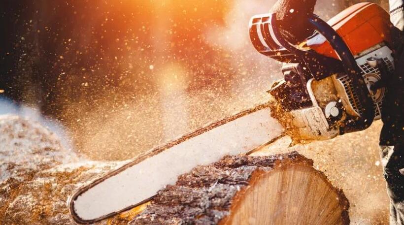 How Does a Chainsaw Work